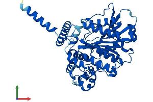 AlphaFold protein structure predicition of Human Recombinant AADAC Protein, UniprotID P22760