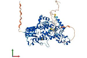 AlphaFold protein structure predicition of Human Recombinant CRY2 Protein, UniprotID Q49AN0