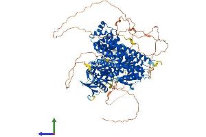 AlphaFold protein structure predicition of Mouse Recombinant Farp2 Protein, UniprotID Q91VS8