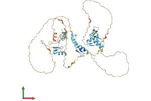 AlphaFold protein structure predicition of Human Recombinant ZNF296 Protein, UniprotID Q8WUU4