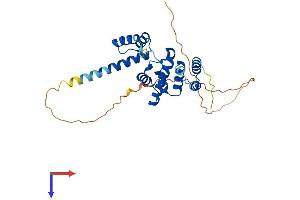 AlphaFold protein structure predicition of Mouse Recombinant Six1 Protein, UniprotID Q62231
