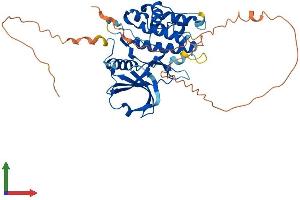 AlphaFold protein structure predicition of Human Recombinant STK17A Protein, UniprotID Q9UEE5