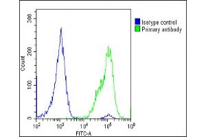Overlay histogram showing U-2 OS cells stained with (ABIN651298 and ABIN2840176)(green line). (Adiponectin Receptor 2 anticorps  (AA 45-72))