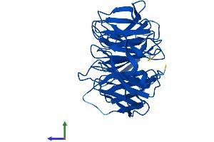 AlphaFold protein structure predicition of Human Recombinant WDR82 Protein, UniprotID Q6UXN9