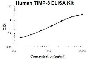 Human TIMP-3 PicoKine ELISA Kit standard curve (TIMP3 Kit ELISA)