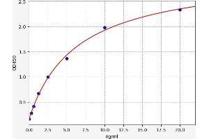 Typical standard curve (CAMK2B Kit ELISA)