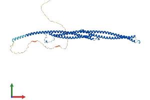 AlphaFold protein structure predicition of Human Recombinant TEKT3 Protein, UniprotID Q9BXF9