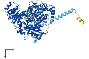 AlphaFold protein structure predicition of Human Recombinant ACSL5 Protein, UniprotID Q9ULC5