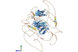 AlphaFold protein structure predicition of Human Recombinant RPS6KC1 Protein, UniprotID Q96S38
