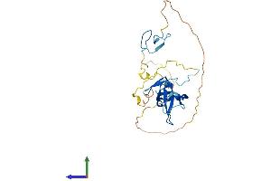 AlphaFold protein structure predicition of Human Recombinant GATAD1 Protein, UniprotID Q8WUU5