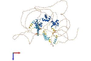 AlphaFold protein structure predicition of Human Recombinant MYBL1 Protein, UniprotID P10243