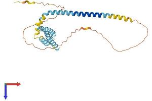 AlphaFold protein structure predicition of Human Recombinant REEP3 Protein, UniprotID Q6NUK4