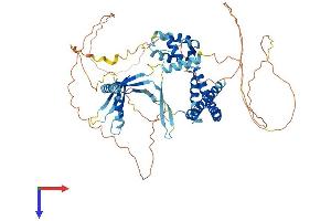 AlphaFold protein structure predicition of Human Recombinant ELL2 Protein, UniprotID O00472