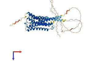 AlphaFold protein structure predicition of Mouse Recombinant Chrm1 Protein, UniprotID P12657