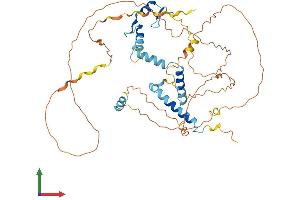 AlphaFold protein structure predicition of Mouse Recombinant Nufip1 Protein, UniprotID Q9QXX8