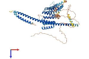 AlphaFold protein structure predicition of Human Recombinant KLC2 Protein, UniprotID Q9H0B6