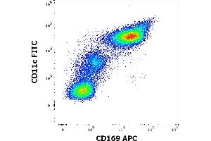 Flow cytometry multicolor surface staining of human TNF-α and INF-γ stimulated peripheral blood mononuclear cells stained using anti-human CD169 (7-239) APC antibody (10 μL reagent per milion cells in 100 μL of cell suspension) and anti-human CD11c (BU15) FITC antibody (20 μL reagent / 100 μL of peripheral whole blood). (Sialoadhesin/CD169 anticorps  (APC))