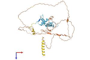 AlphaFold protein structure predicition of Mouse Recombinant Klf12 Protein, UniprotID O35738
