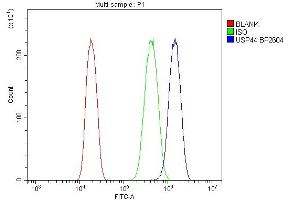 Flow Cytometry analysis of A431 cells using anti-USP44 antibody (ABIN7600640). (USP44 anticorps  (AA 211-712))