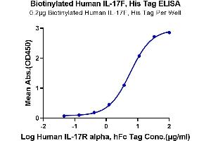 Immobilized Biotinylated Human IL-17F at 2 μg/mL (100 μL/Well) on the plate.