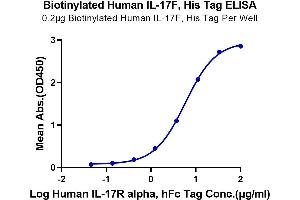 Immobilized Biotinylated Human IL-17F at 2 μg/mL (100 μL/Well) on the plate. (IL17F Protein (His-Avi Tag,Biotin))