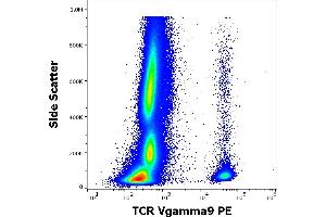 anti-TCR V gamma 9 antibody (PE)