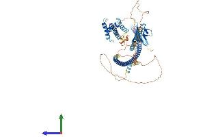 AlphaFold protein structure predicition of Human Recombinant DIXDC1 Protein, UniprotID Q155Q3