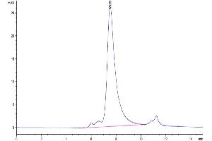 The purity of Human NKp46 is greater than 95 % as determined by SEC-HPLC.