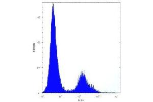 VDR antibody flow cytometric analysis of HeLa cells (right histogram) compared to a negative control (left histogram).