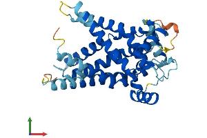 AlphaFold protein structure predicition of Mouse Recombinant Slc25a17 Protein, UniprotID O70579