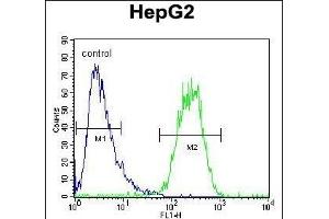 SEC13 Antibody (Center) (ABIN654695 and ABIN2844387) flow cytometric analysis of HepG2 cells (right histogram) compared to a negative control cell (left histogram). (SEC13 anticorps  (AA 72-100))