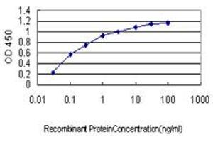 Detection limit for recombinant GST tagged GPR84 is approximately 0. (GPR84 anticorps  (AA 208-316))