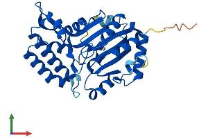 AlphaFold protein structure predicition of Mouse Recombinant Nt5c3b Protein, UniprotID Q3UFY7