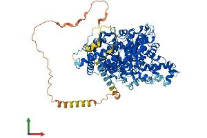 AlphaFold protein structure predicition of Human Recombinant AMPD3 Protein, UniprotID Q01432