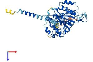 AlphaFold protein structure predicition of Mouse Recombinant B4galt6 Protein, UniprotID Q9WVK5