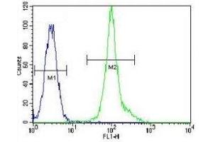 LCK antibody flow cytometric analysis of HeLa cells (green) compared to a negative control (blue).