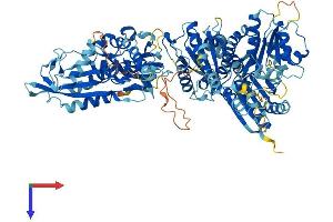 AlphaFold protein structure predicition of Human Recombinant SLFN14 Protein, UniprotID P0C7P3