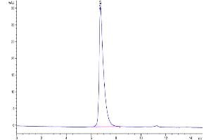 The purity of Biotinylated Human Nectin-2 is greater than 95 % as determined by SEC-HPLC.