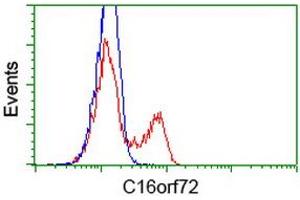 HEK293T cells transfected with either RC214935 overexpress plasmid (Red) or empty vector control plasmid (Blue) were immunostained by anti-C16orf72 antibody (ABIN2452857), and then analyzed by flow cytometry. (C16orf72 anticorps)