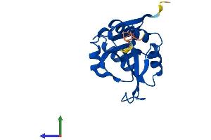 AlphaFold protein structure predicition of Mouse Recombinant Naa50 Protein, UniprotID Q6PGB6