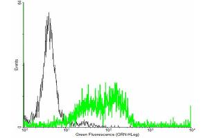 FACS analysis of negative control 293 cells (Black) and HLA-A expressing 293 cells (Green) using HLA-A purified MaxPab mouse polyclonal antibody.