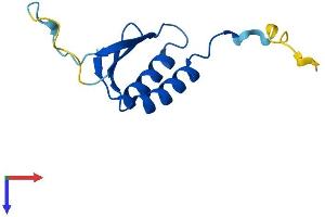 AlphaFold protein structure predicition of Mouse Recombinant Srp14 Protein, UniprotID P16254
