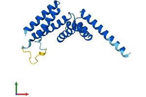 AlphaFold protein structure predicition of Human Recombinant TTC9C Protein, UniprotID Q8N5M4