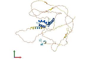 AlphaFold protein structure predicition of Mouse Recombinant Tcf7l2 Protein, UniprotID Q924A0