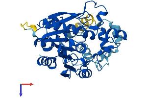 AlphaFold protein structure predicition of Human Recombinant LIPJ Protein, UniprotID Q5W064