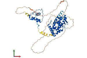 AlphaFold protein structure predicition of Mouse Recombinant Rxrg Protein, UniprotID P28705
