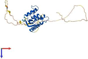 AlphaFold protein structure predicition of Human Recombinant SNX11 Protein, UniprotID Q9Y5W9