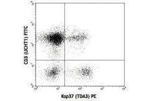 Flow Cytometry (FACS) image for anti-Fibroblast Growth Factor Binding Protein 2 (FGFBP2) antibody (PE) (ABIN2663817)