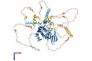 AlphaFold protein structure predicition of Human Recombinant NEK5 Protein, UniprotID Q6P3R8