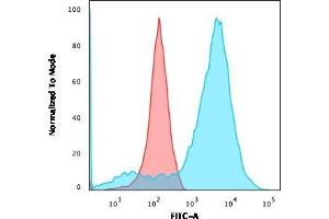 Flow Cytometric Analysis of HEK293 cells using Neurofilament Mouse Monoclonal Antibody (NR-4) followed by goat anti-Mouse IgG-CF488 (Blue); Isotype control (Red). (NEFL anticorps)